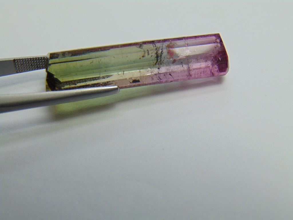 26.35ct Tourmaline Bicolor 34x10mm