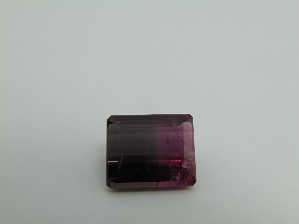 17.60cts Tourmaline (Bicolor)