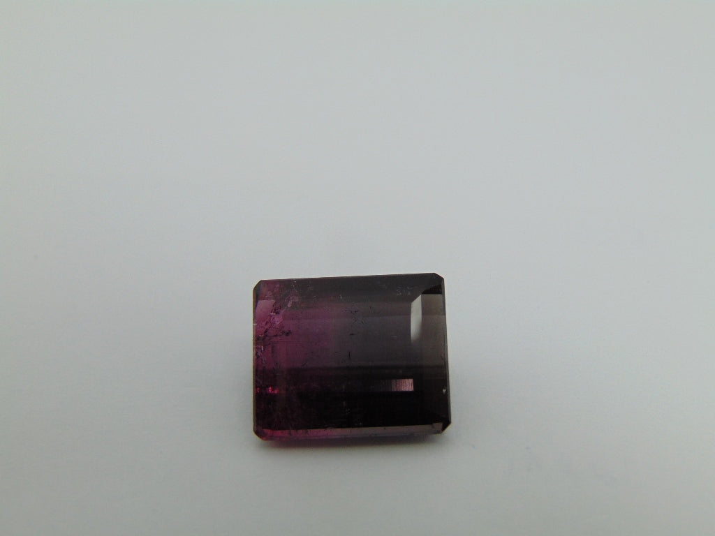 17.60cts Tourmaline (Bicolor)