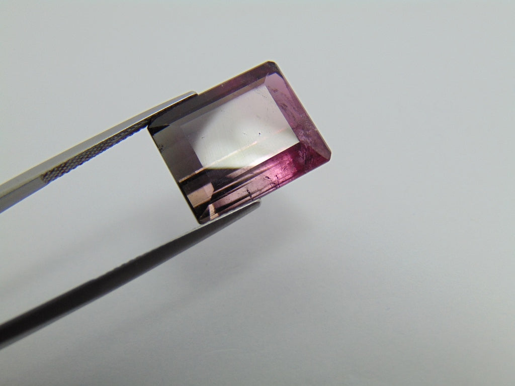 17.60cts Tourmaline (Bicolor)