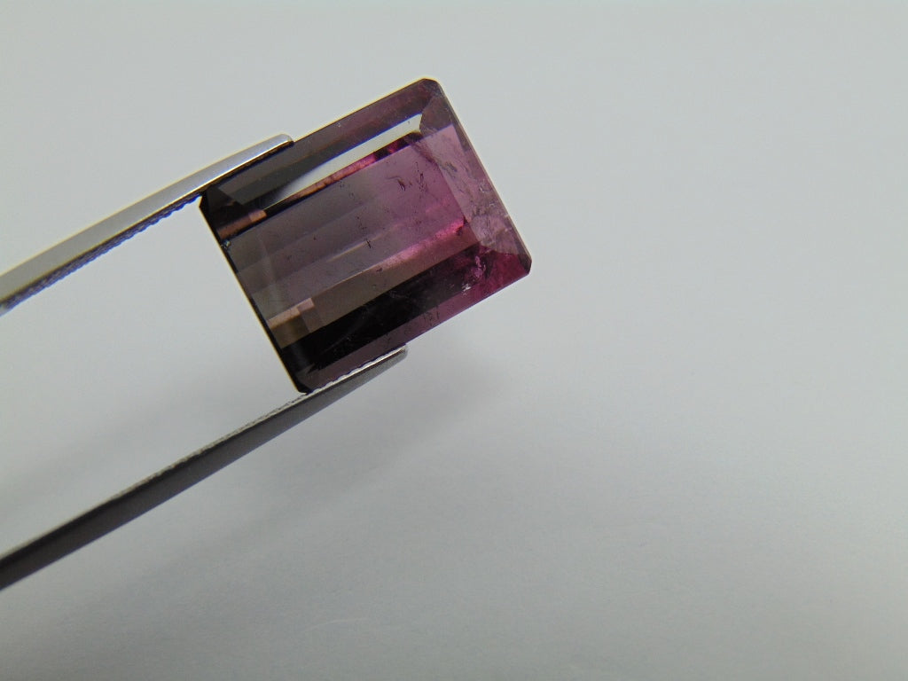 17.60cts Tourmaline (Bicolor)