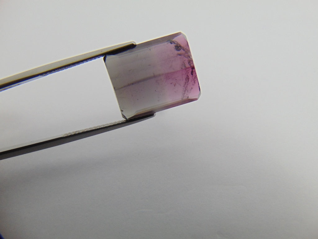 17.60cts Tourmaline (Bicolor)