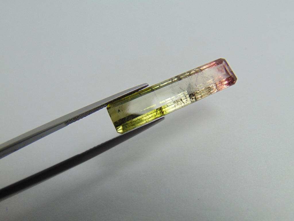 10.90ct Tourmaline Bicolor 30x7mm