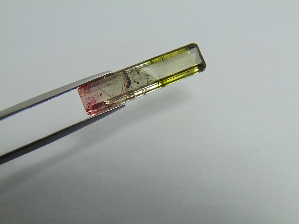 10.90ct Tourmaline Bicolor 30x7mm