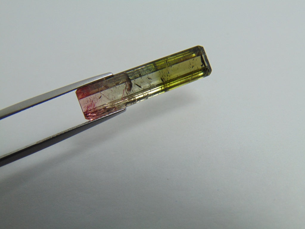 10.90ct Tourmaline Bicolor 30x7mm