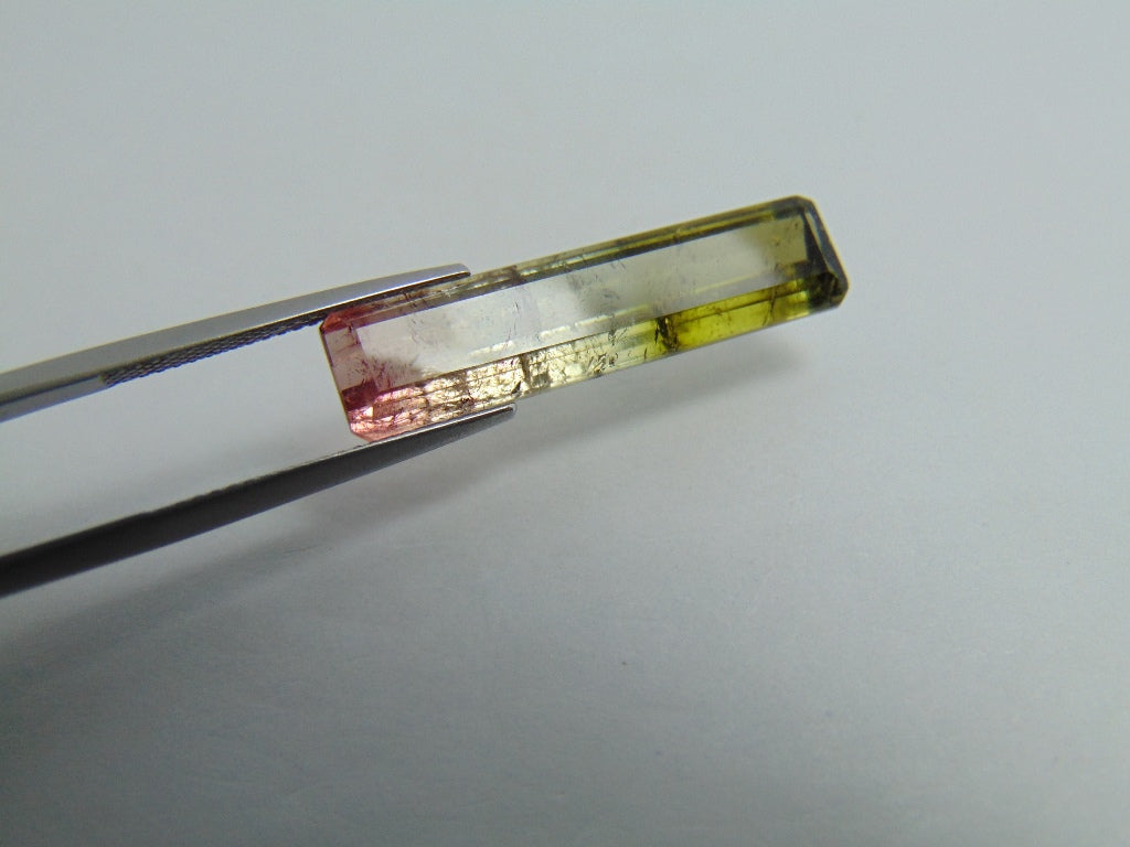 10.90ct Tourmaline Bicolor 30x7mm