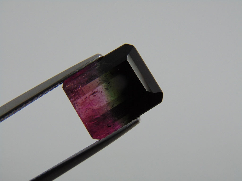 7.30cts Tourmaline (Bicolor)