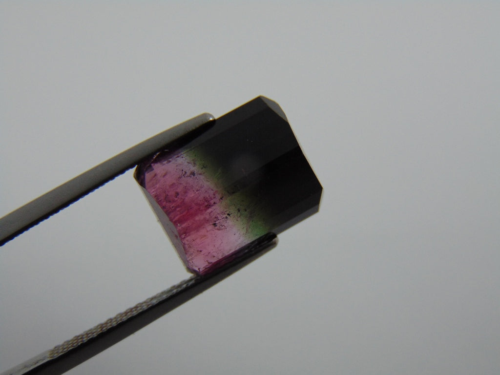 7.30cts Tourmaline (Bicolor)