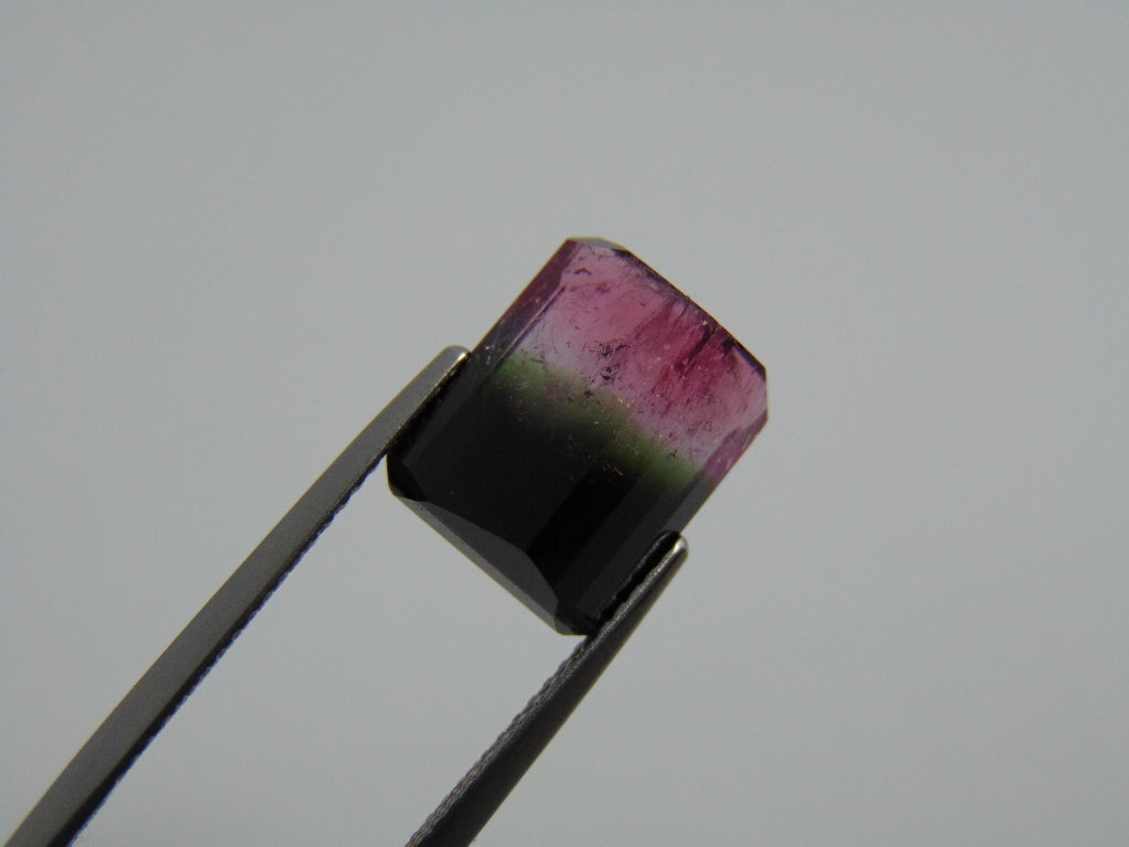 7.30cts Tourmaline (Bicolor)