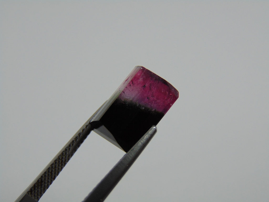 7.30cts Tourmaline (Bicolor)