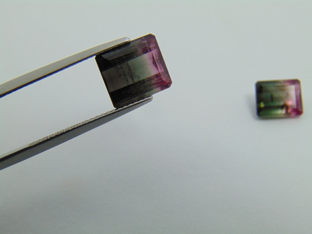 6.25cts Tourmaline (Bicolor)