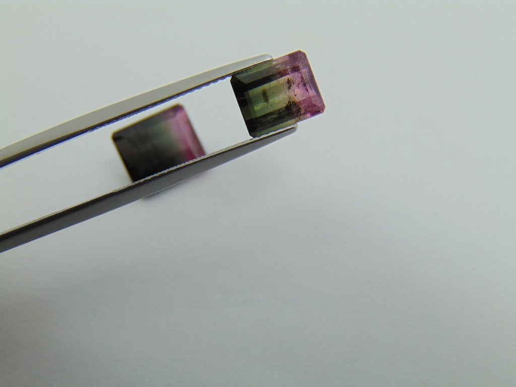 6.25cts Tourmaline (Bicolor)