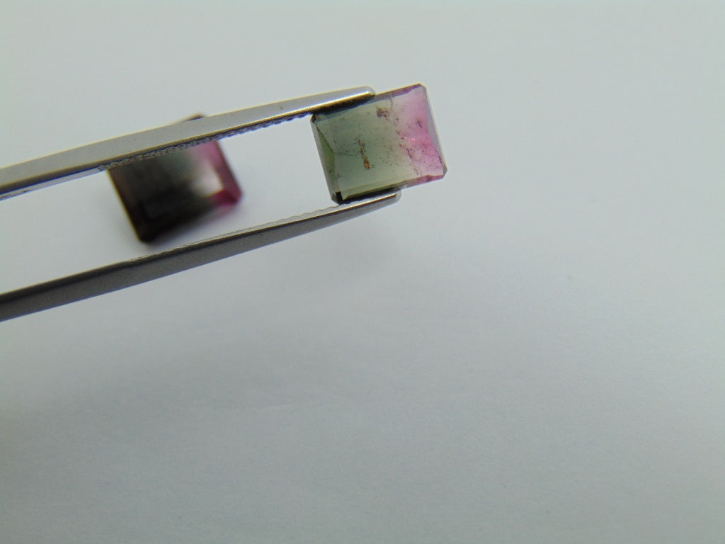 6.25cts Tourmaline (Bicolor)