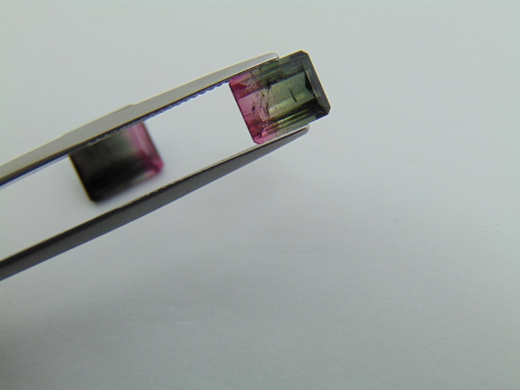 6.25cts Tourmaline (Bicolor)