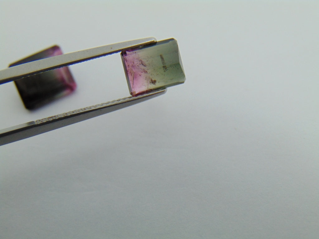 6.25cts Tourmaline (Bicolor)