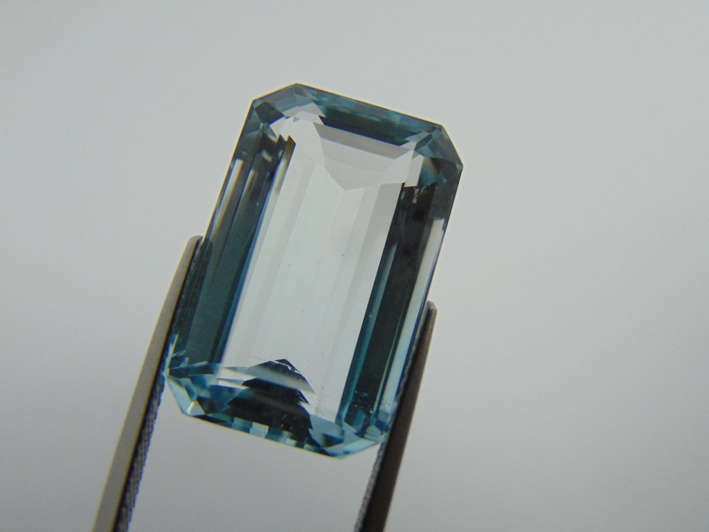 29.10cts Topaz (Natural)