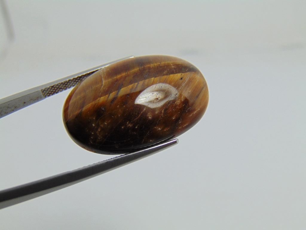 29.90cts  Quartz (Tiger Eye)