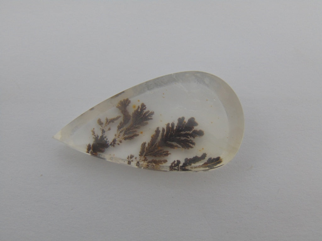 46cts Dendrite 39x22mm