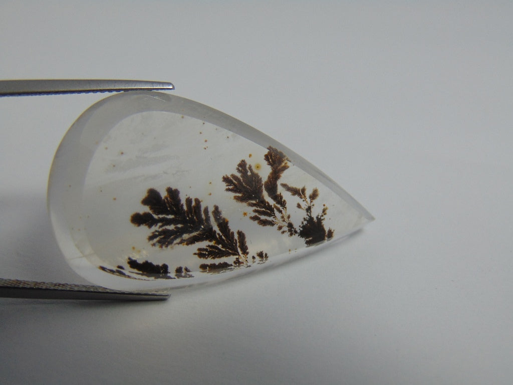 46cts Dendrite 39x22mm