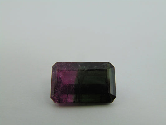 18.40cts Tourmaline (Bicolor)