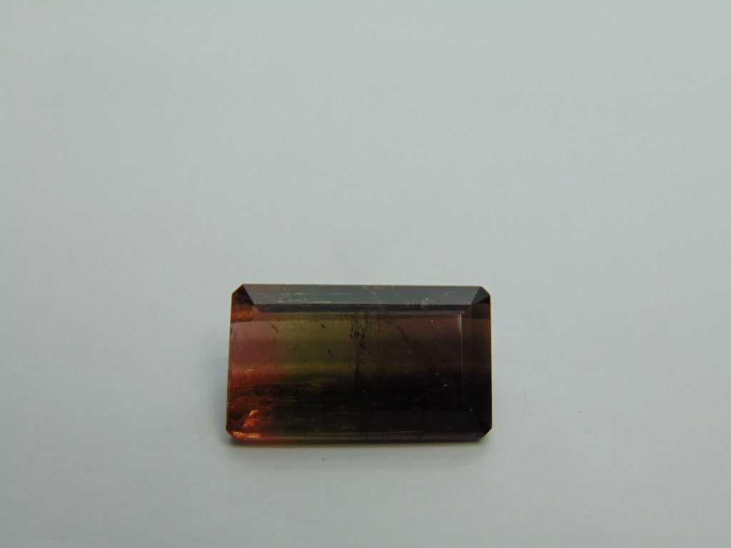 17cts Tourmaline (Bicolor)