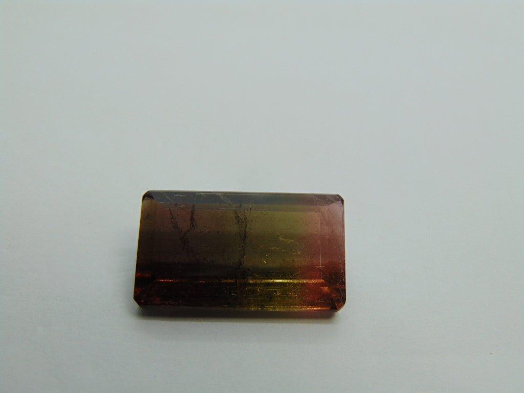 17cts Tourmaline (Bicolor)