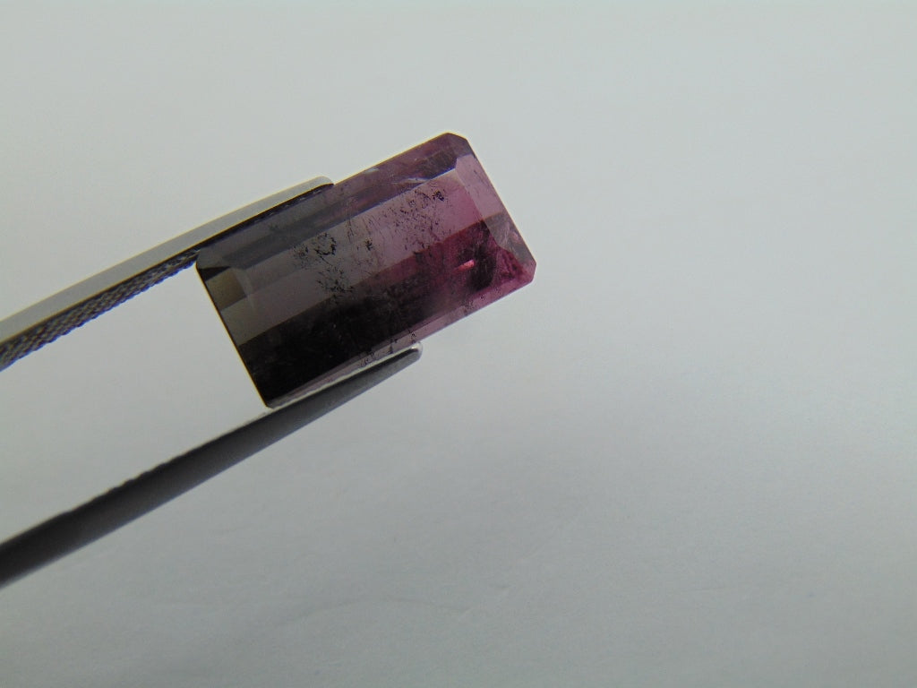 8.65cts Tourmaline (Bicolor)