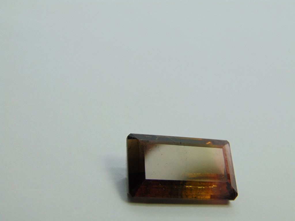 17cts Tourmaline (Bicolor)