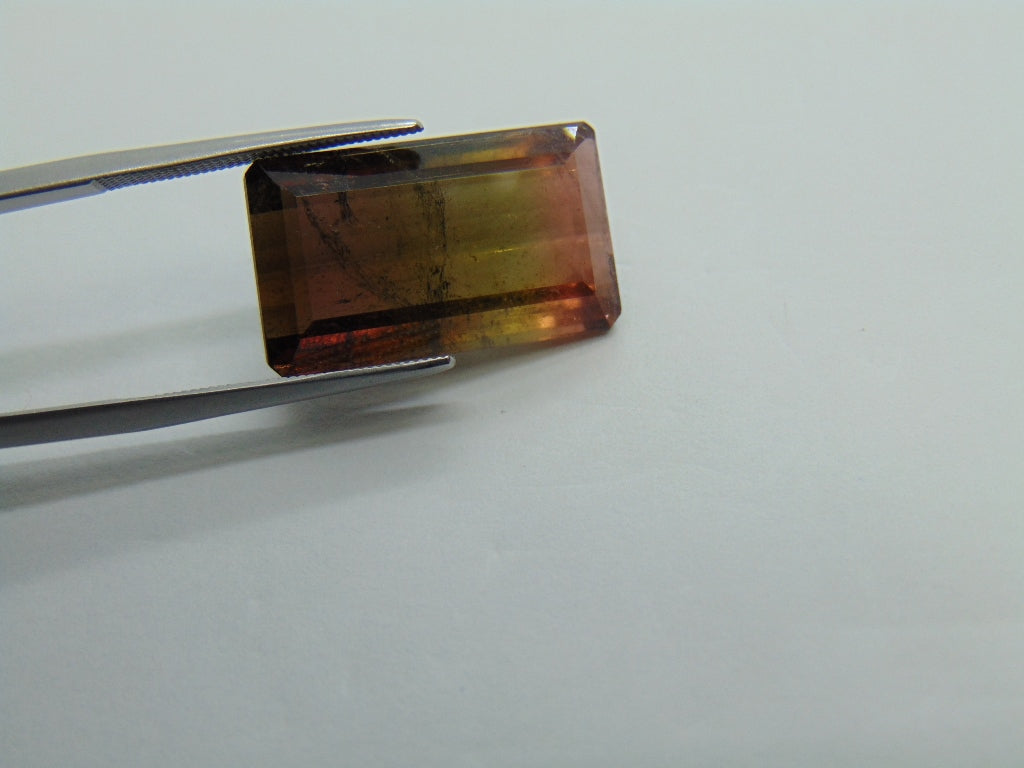 17cts Tourmaline (Bicolor)