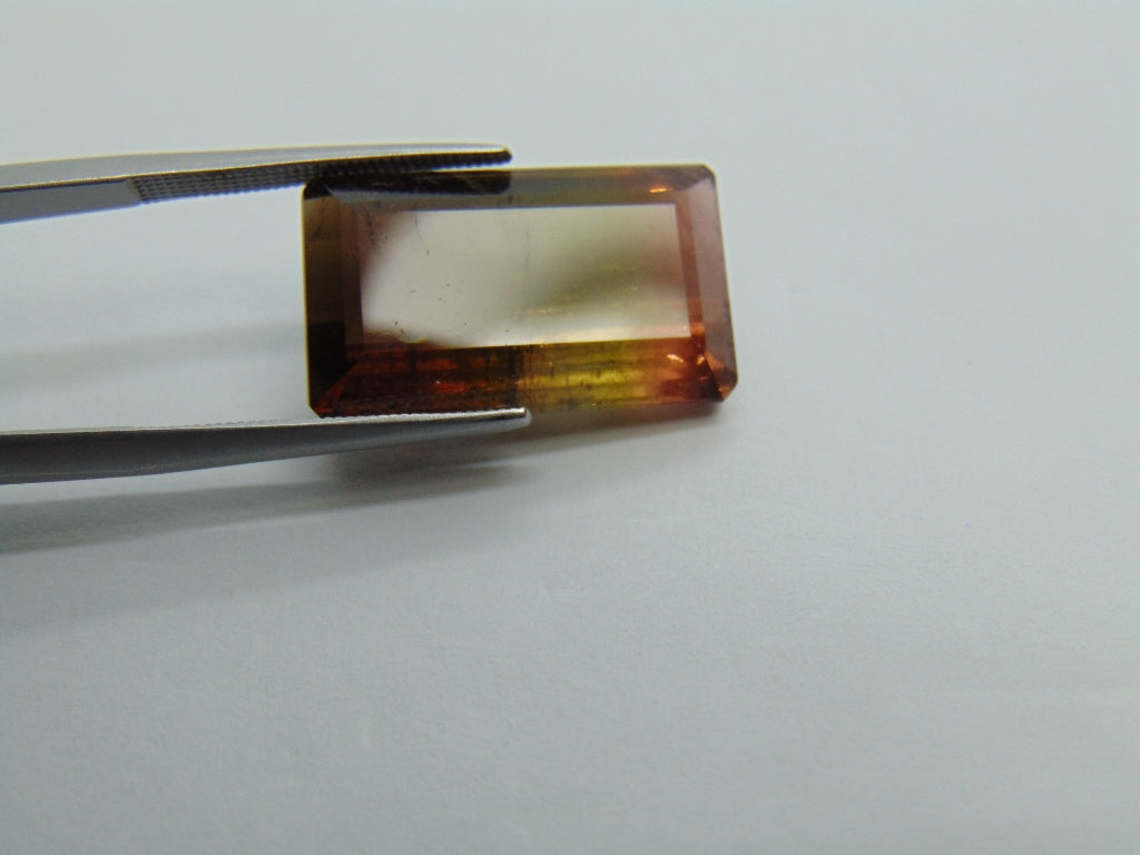 17cts Tourmaline (Bicolor)