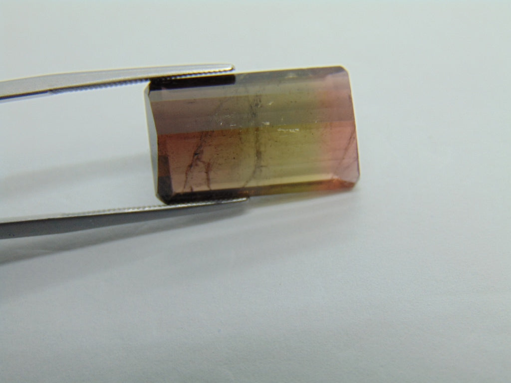 17cts Tourmaline (Bicolor)