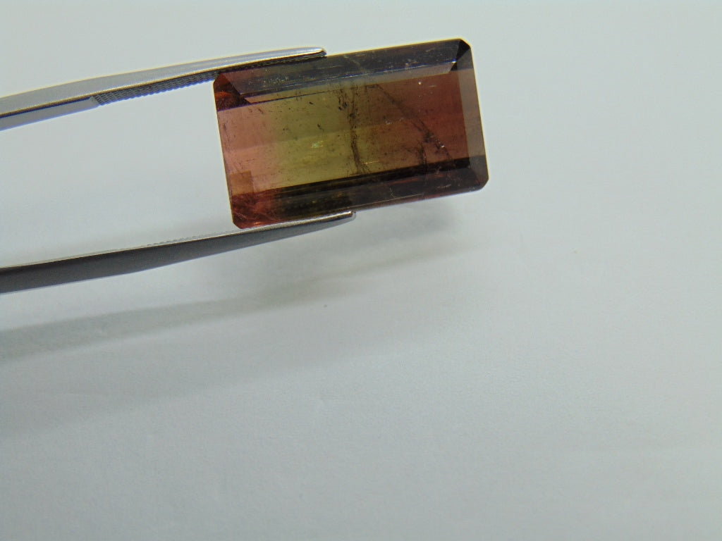 17cts Tourmaline (Bicolor)