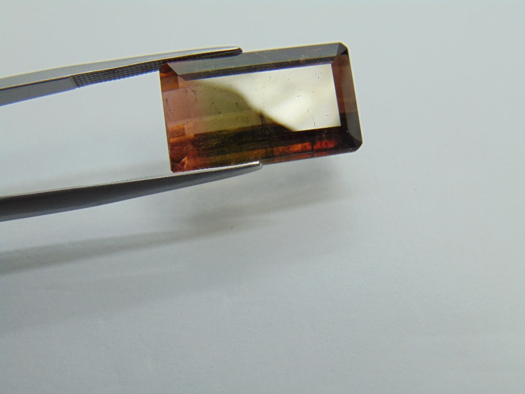 17cts Tourmaline (Bicolor)