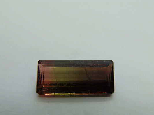 12.50cts Tourmaline (Bicolor)