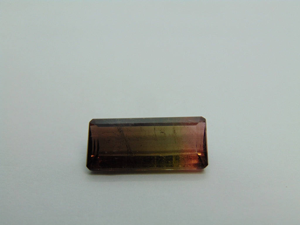 12.50cts Tourmaline (Bicolor)