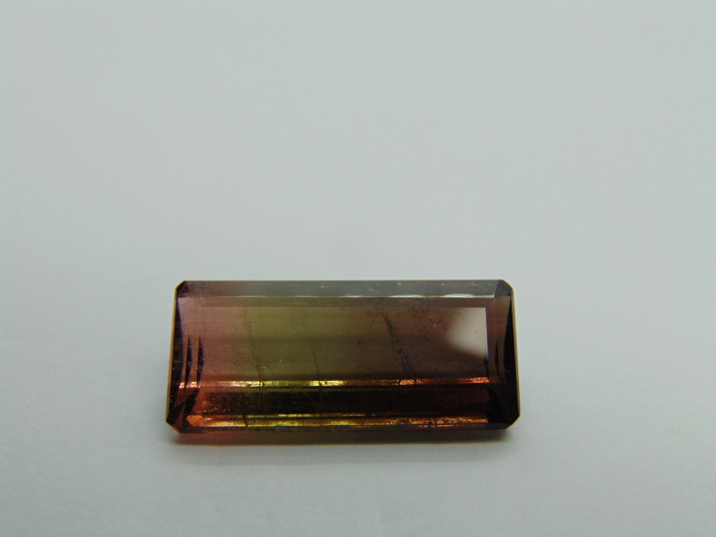 12.50cts Tourmaline (Bicolor)