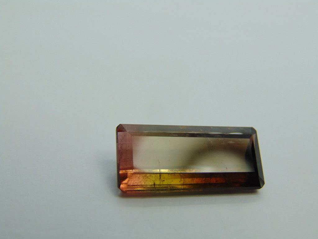 12.50cts Tourmaline (Bicolor)