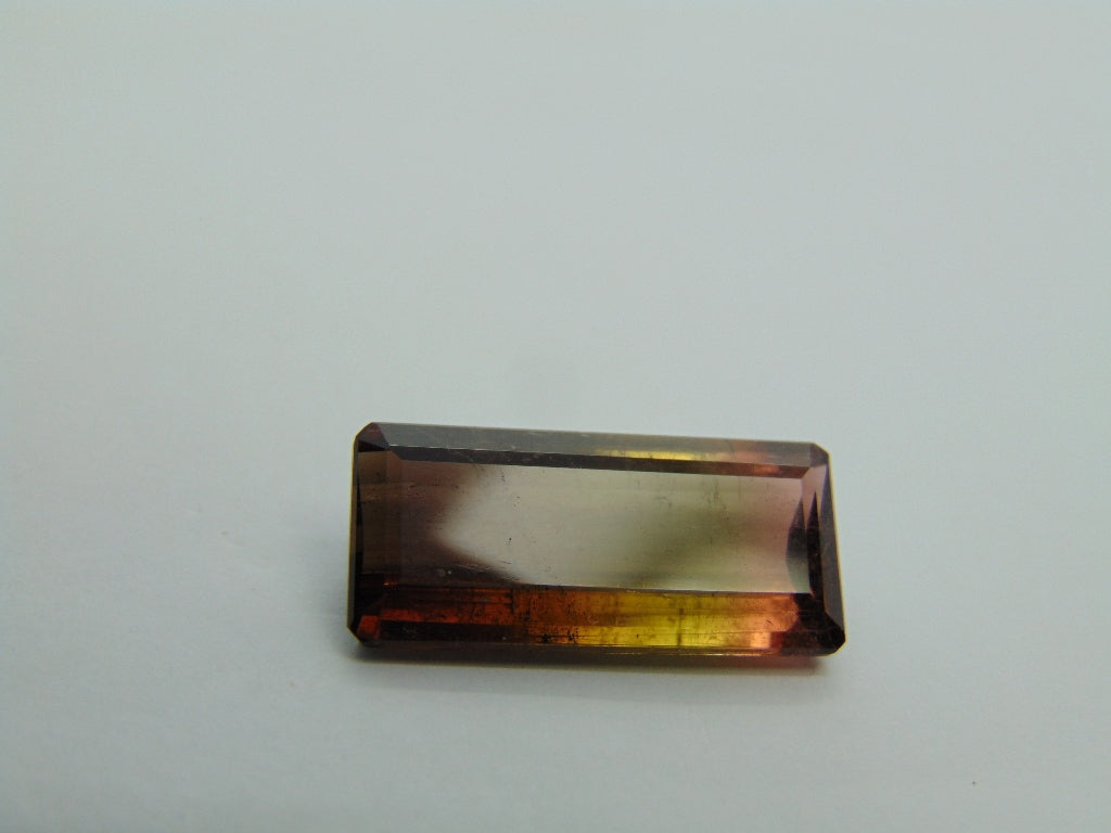 12.50cts Tourmaline (Bicolor)