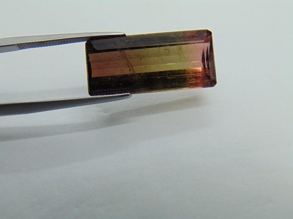 12.50cts Tourmaline (Bicolor)