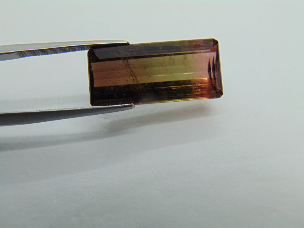 12.50cts Tourmaline (Bicolor)