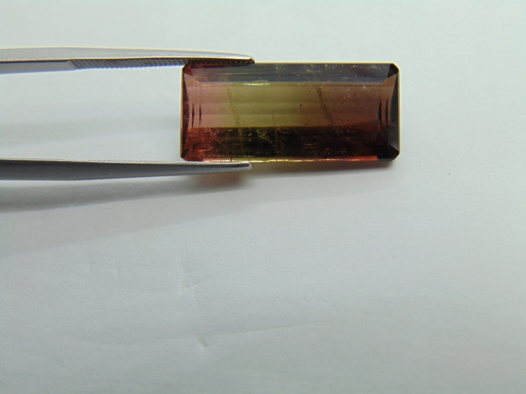 12.50cts Tourmaline (Bicolor)