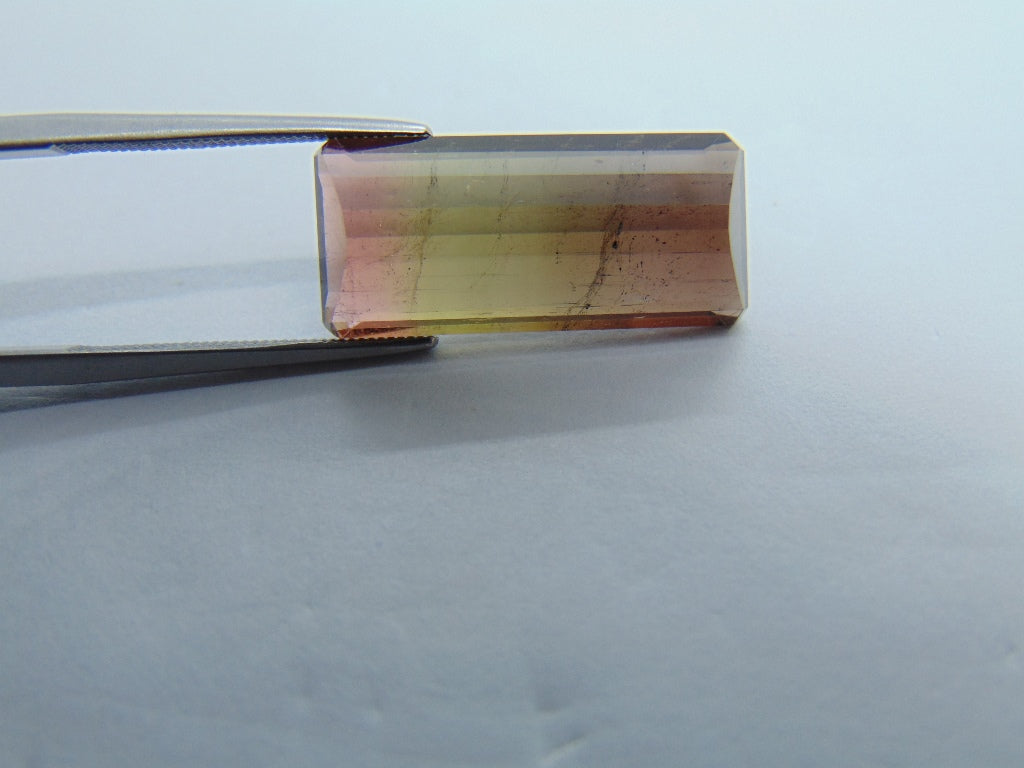 12.50cts Tourmaline (Bicolor)