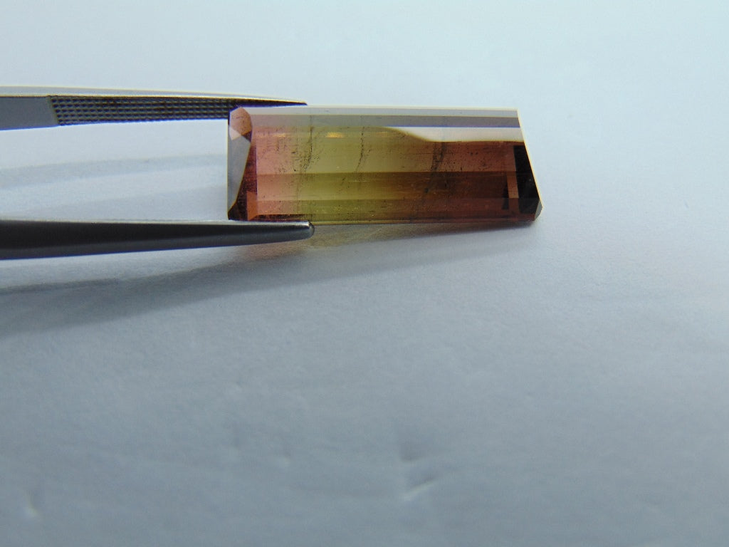 12.50cts Tourmaline (Bicolor)