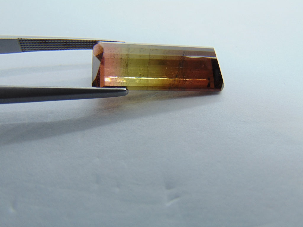 12.50cts Tourmaline (Bicolor)