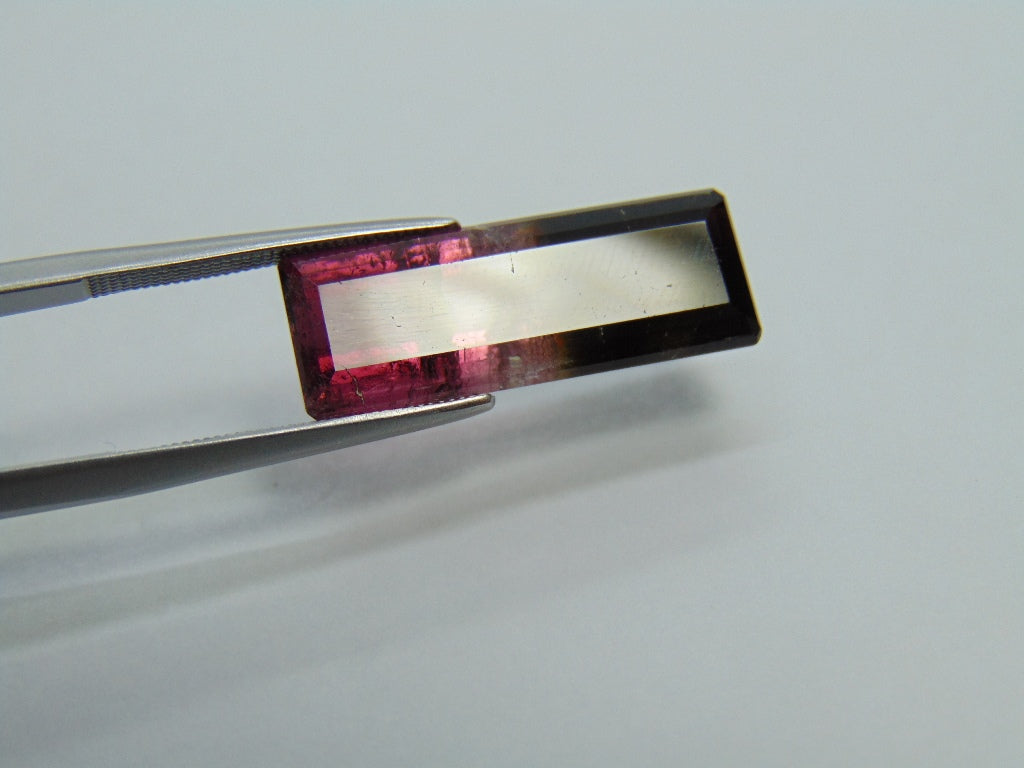 10.95ct Tourmaline Bicolor 23x8mm