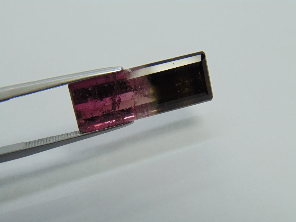 10.95ct Tourmaline Bicolor 23x8mm