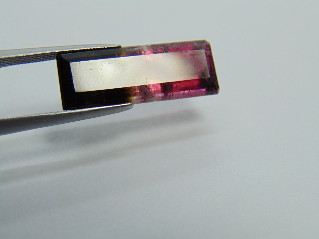 10.95ct Tourmaline Bicolor 23x8mm