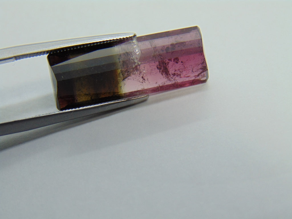 10.95ct Tourmaline Bicolor 23x8mm