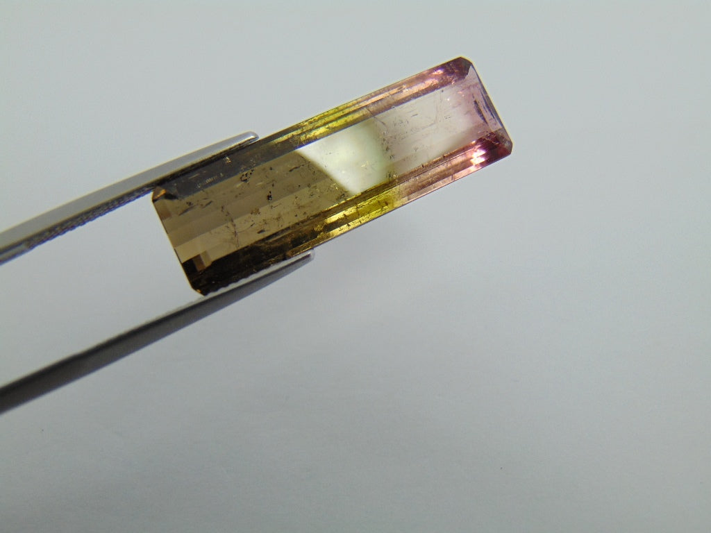 14.20cts Tourmaline (Bicolor)