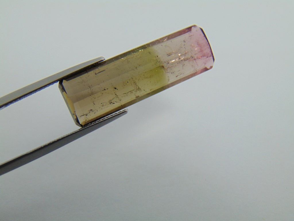 14.20cts Tourmaline (Bicolor)